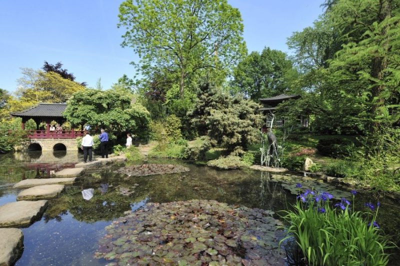Japonský záhradný záhradný rybník