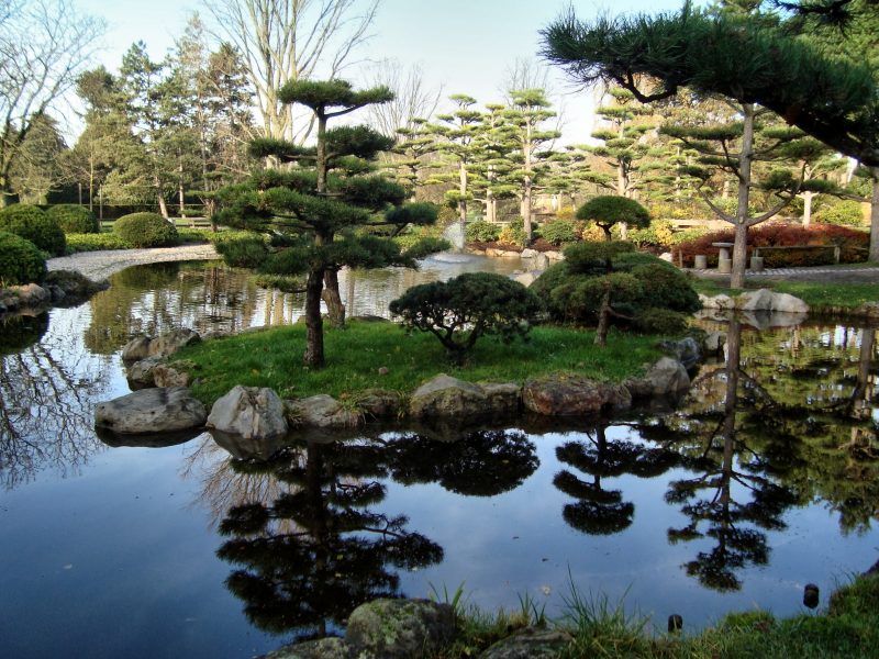 Japonské záhrady veľké