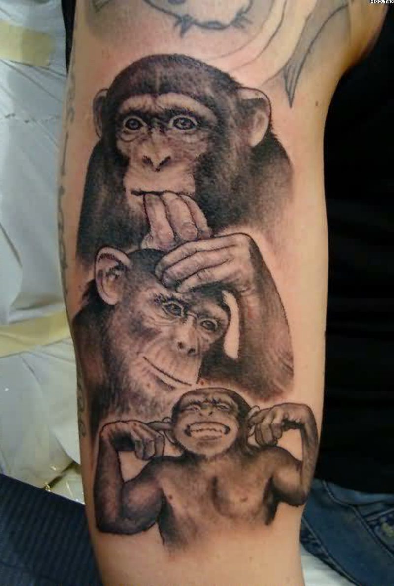 roliga tatueringar apor
