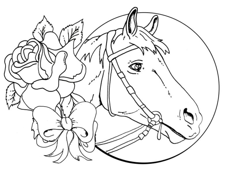 Luna e rose del cavallo del libro da colorare