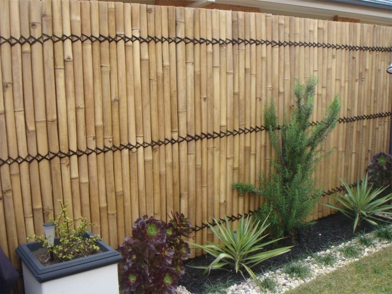 Bambusový plot moderný dizajn