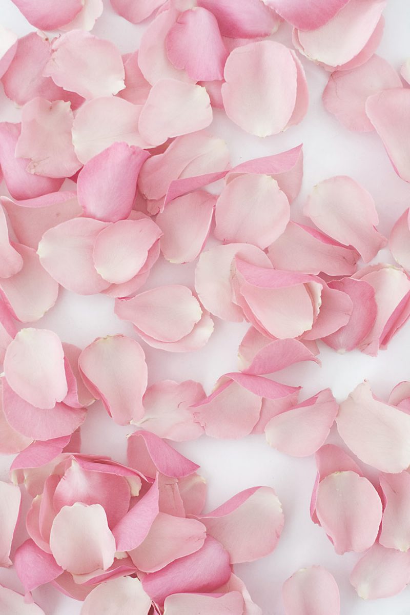 Papieren bloesemuur met rozenblaadjes - instructies in 3 stappen