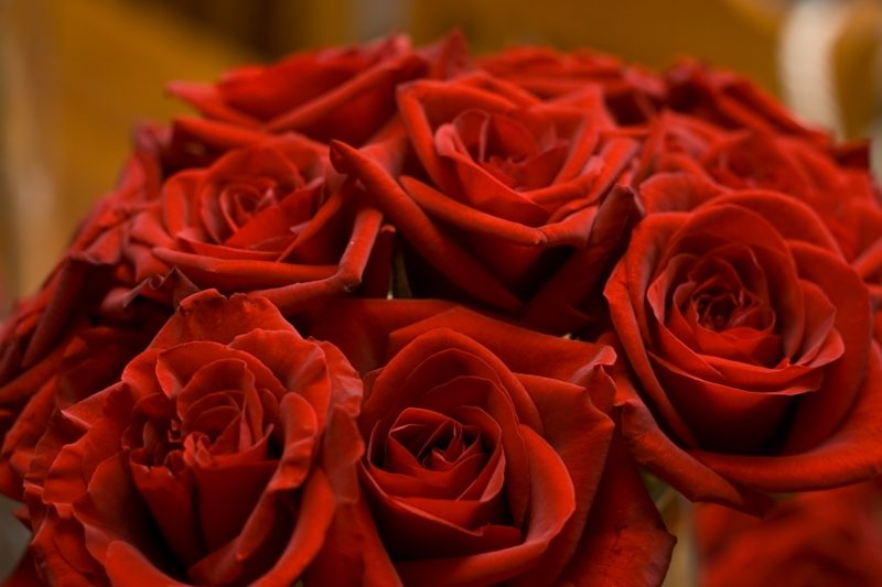 Pesan bunga untuk Hari Valentine dari toko bunga Fleurop secara online