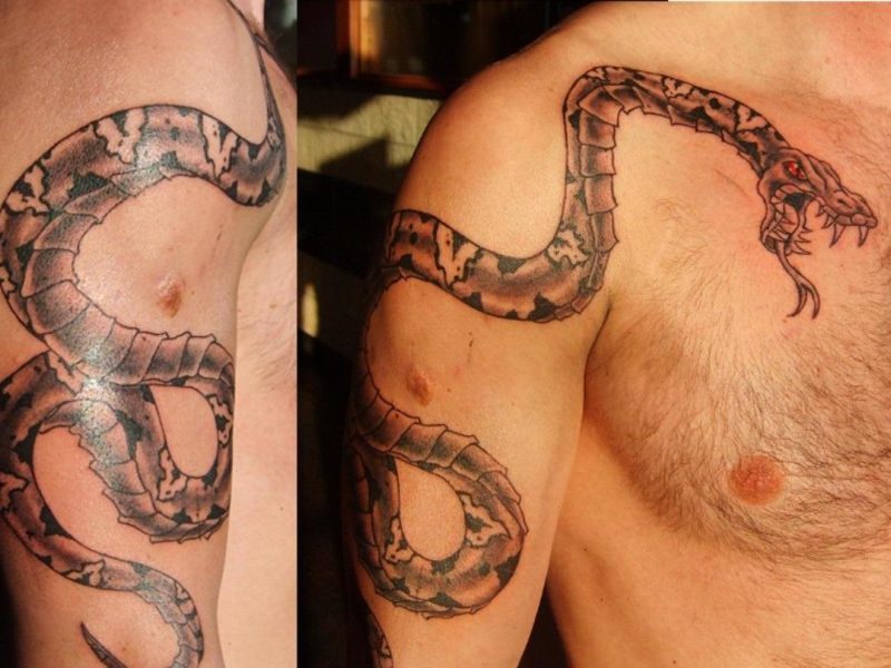 Kača Tattoo je ovita tetovirano
