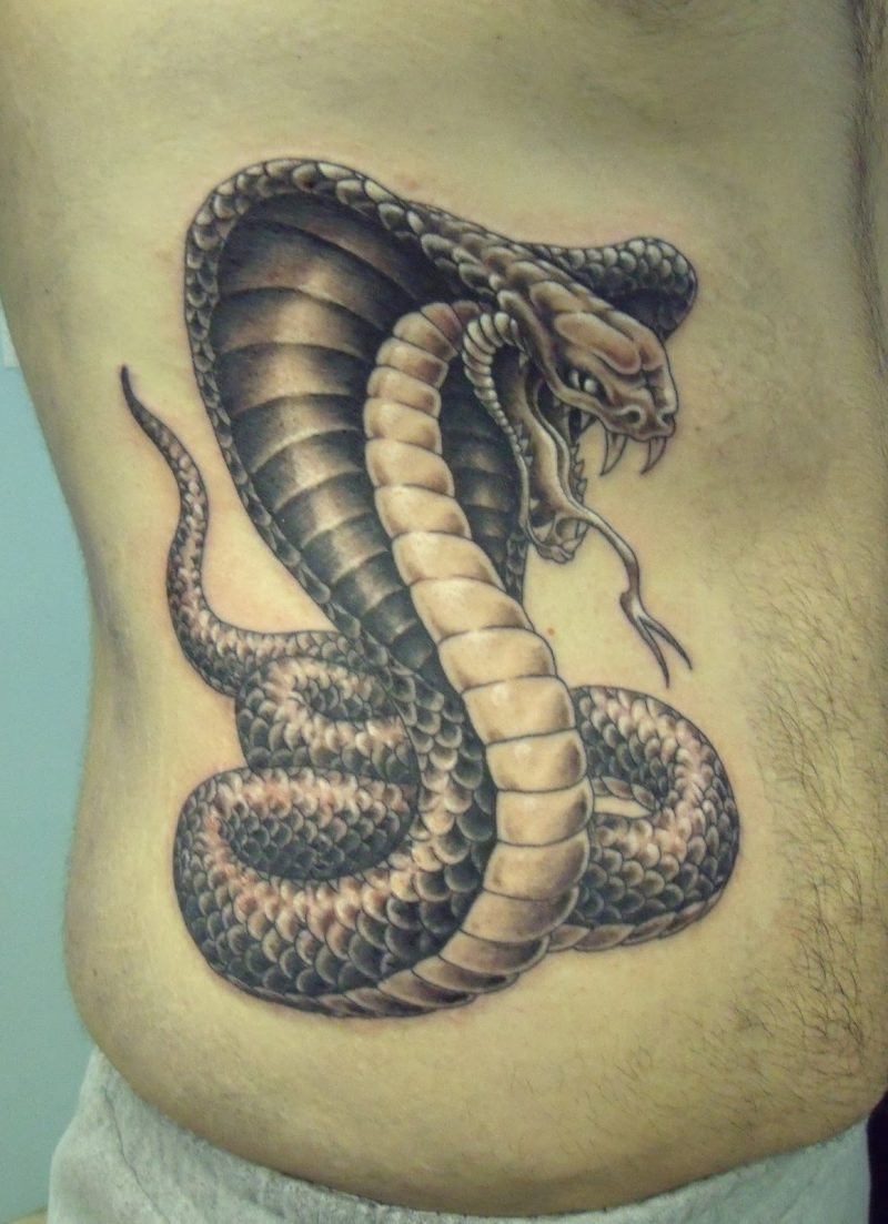 Kače Tattoo King Cobra