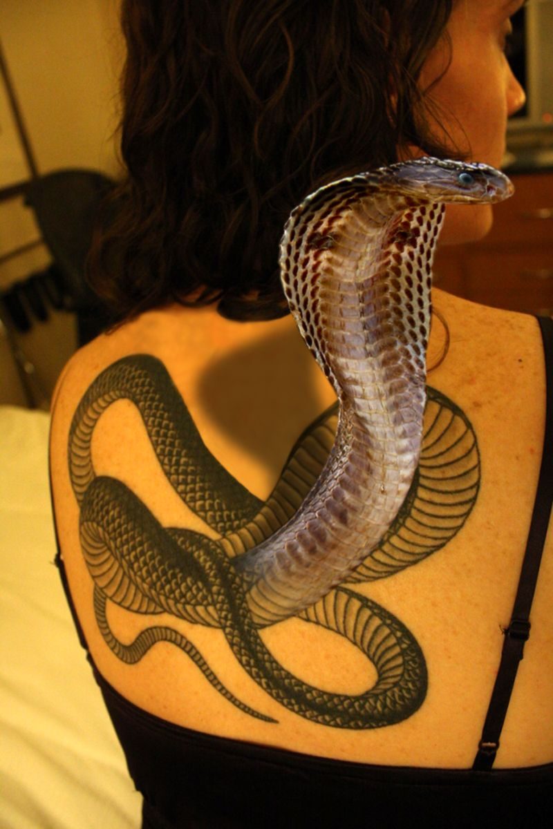 Cobra Kače Tattoo najraje uporabljajo ženske