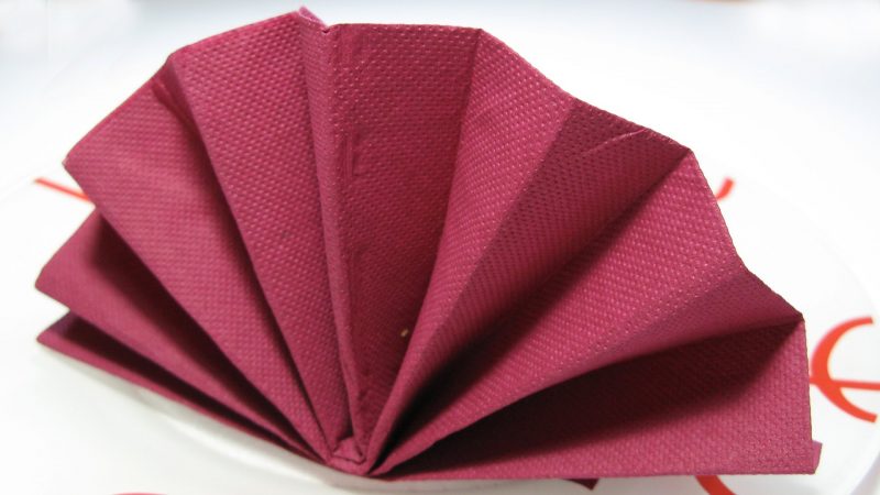 シンプルなデザインの赤いナプキン折り畳み式指導