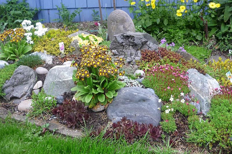 Följ våra tips för att du ska plantera en blomsterbädd med stenar