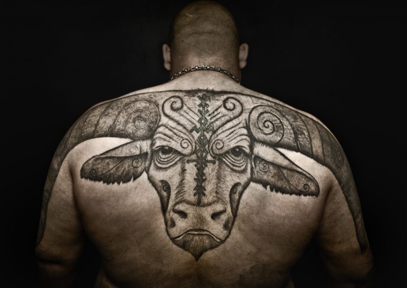 Gagasan tato binatang banteng punggung pria tato