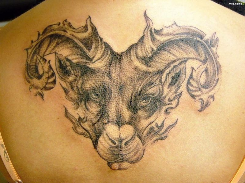 Aries tetovanie Späť Aries
