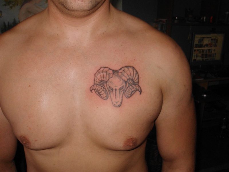aries tatuering aries tatuering på bröstet